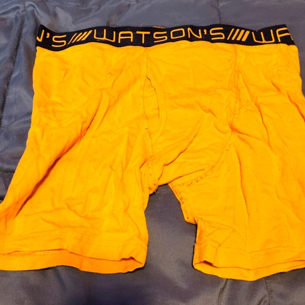 Watson boxer briefs